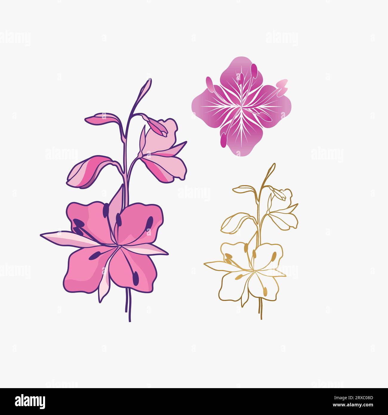 Beau design flower.logo. Illustration vectorielle de plante en floraison. Bud Illustration de Vecteur