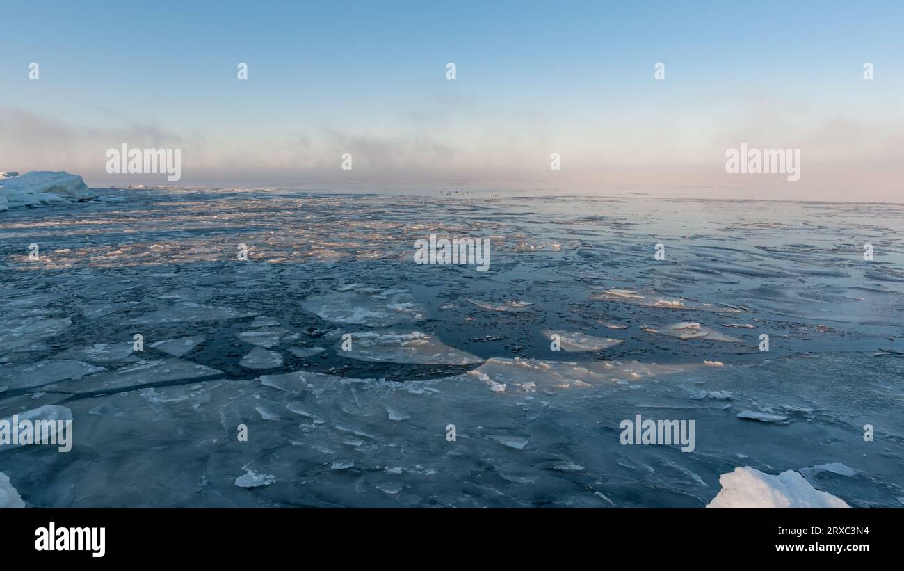 Rivage de mer gelé avec brouillard glacé et oiseaux lointains nageant parmi les blocs de glace à Pori, Finlande Banque D'Images