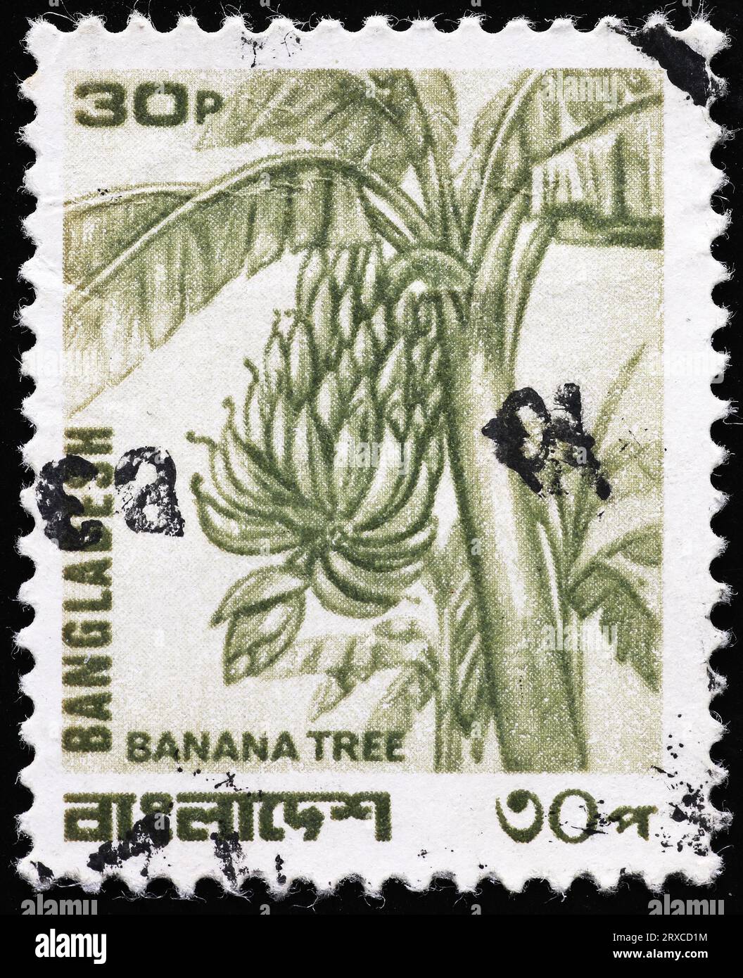 Bananier sur timbre-poste du Bangladesh Banque D'Images