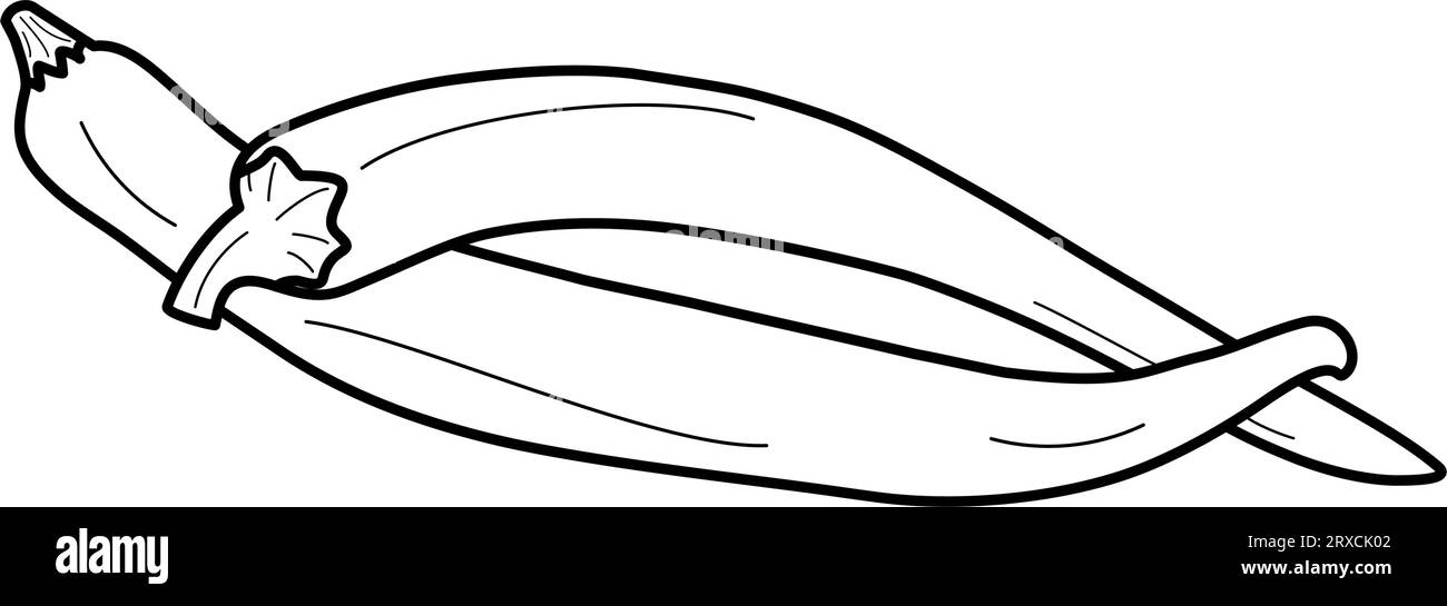 Dessin des contours de deux piments forts dessinés à la main. Cuisine épicée nationale mexicaine. Page de livre de coloriage. Autocollant. Icône. Isoler. Vector design pour affiche, bannière, brochures, cartes, prix, etiquette ou bande Illustration de Vecteur