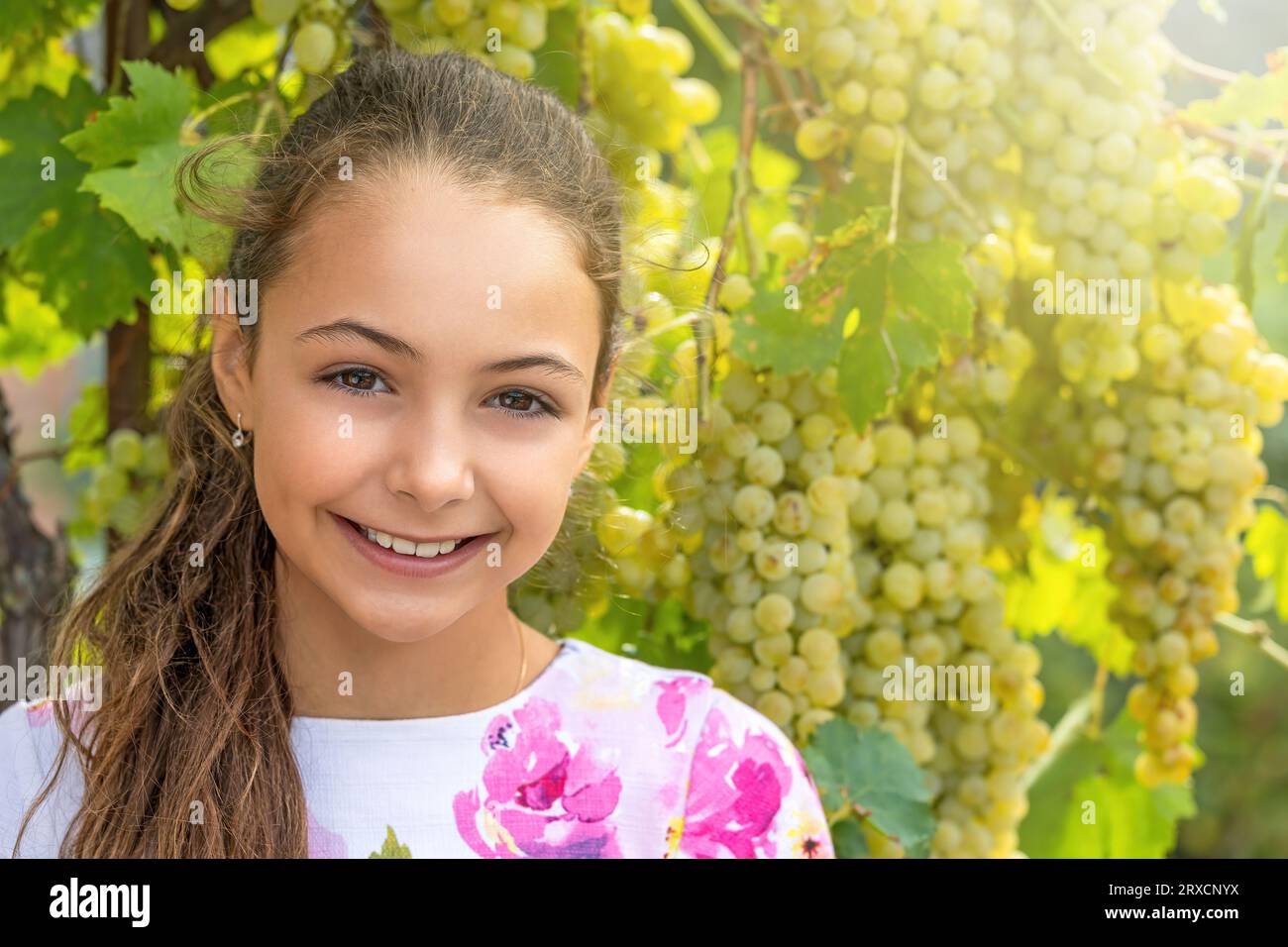 Portrait de souriant jolie petite fille aux cheveux longs posant par des raisins mûrs. Concept de récolte du vin. Horizontalement. Banque D'Images
