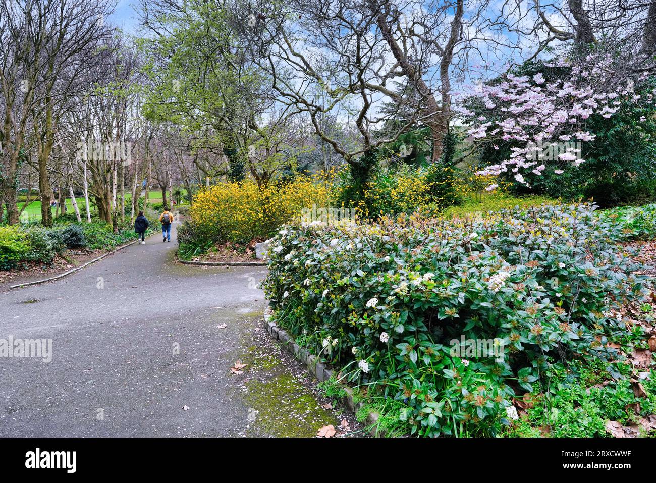 Parc avec fleurs printanières, St. Stephen's Green, Dublin Banque D'Images