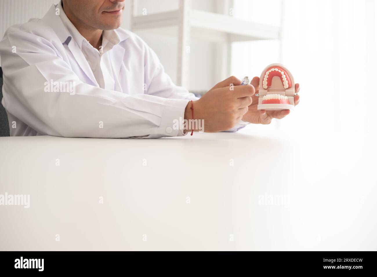 Dentiste hispanique expliquant au patient sur les dents et comment brosser avec le modèle de dents dentaires. Le concept clinique de traitement et de santé avec Copy spa Banque D'Images