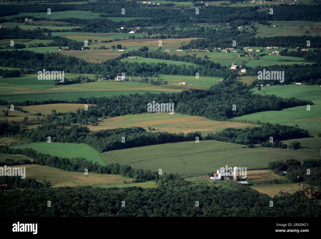 Flat Rock ViewPoint, Tuscarora State Forest, Pennsylvanie Banque D'Images