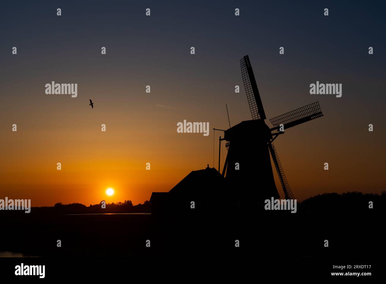Par une journée ensoleillée au moulin du Nord sur l'île de Texel aux pays-Bas Banque D'Images