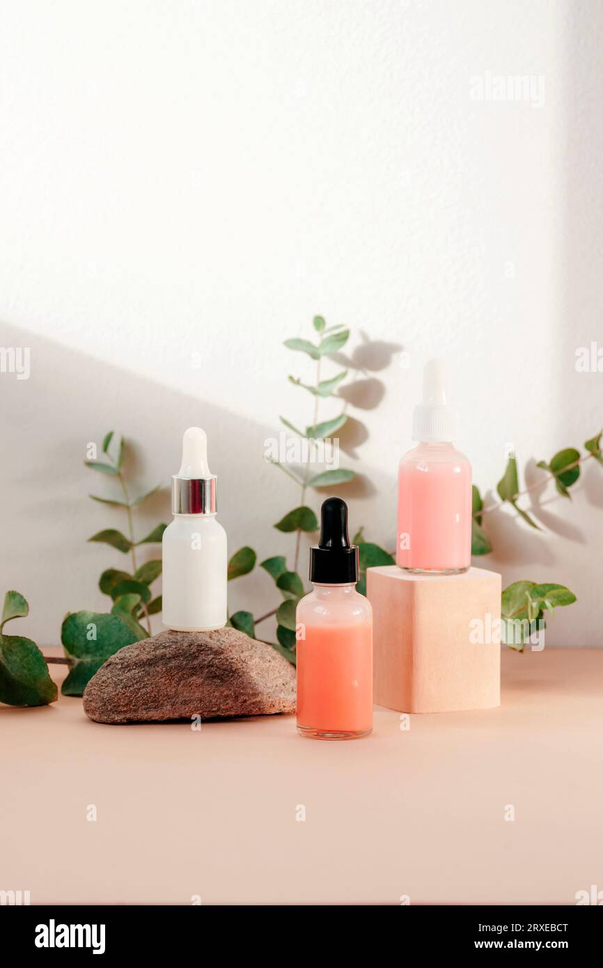 Flacons compte-gouttes cosmétiques et branche d'eucalyptus au soleil. Cosmétiques naturels et concept d'aromathérapie. Banque D'Images