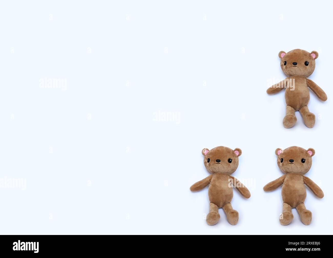 ours en peluche sur le motif de fond blanc Banque D'Images