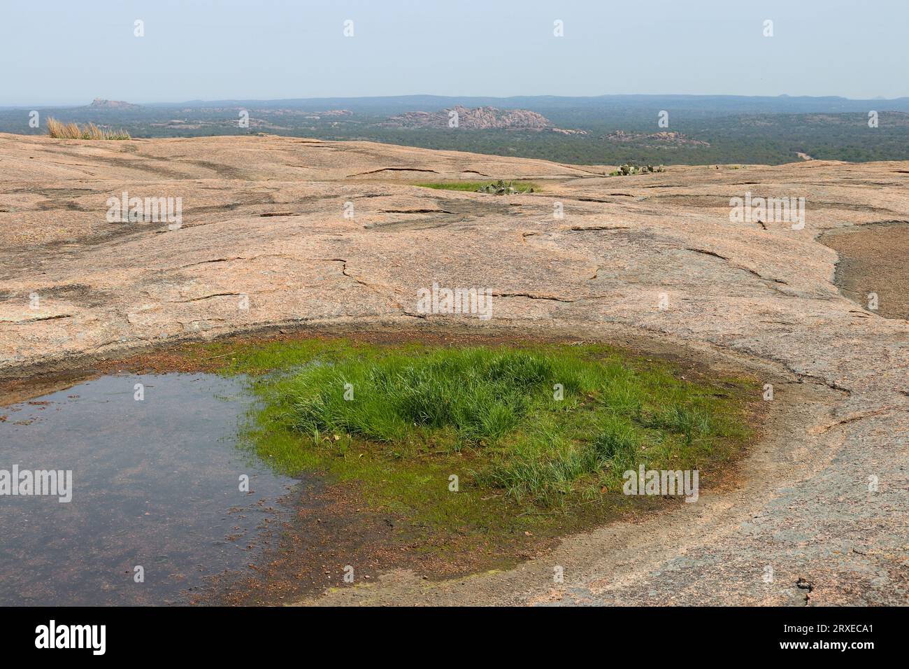 Criques et ruisseaux dans le Texas Hill Country, Enchanted Rock State Park, Texas Banque D'Images