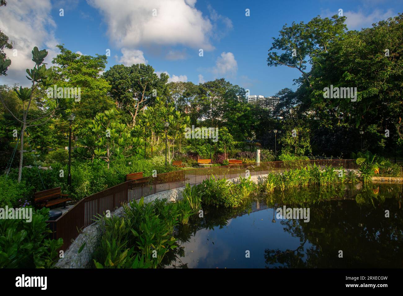 KPMG Wellness Garden est une oasis naturelle inclusive pour les visiteurs du parc de tous âges et capacités. Vue paysage, East Coast Park, Singapour. Banque D'Images