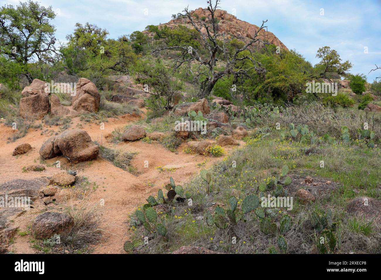 Montagnes et collines dans le parc national Enchanted Rock, Texas Banque D'Images