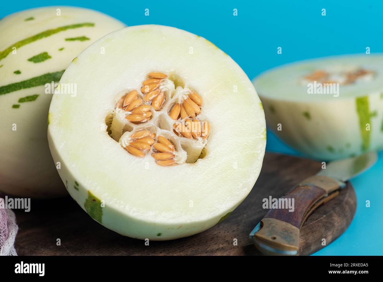 Melon gaya ivoire avec des rayures pointillées vertes et des taches sur un fond bleu. Fruits mûrs et juteux colorés, goût sucré avec des notes florales. Tout un an Banque D'Images