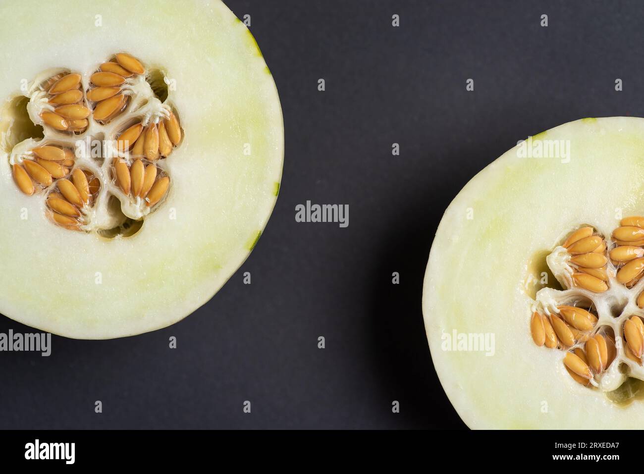 Melon gaya ivoire avec des rayures pointillées vertes et des taches sur un fond sombre. Fruits mûrs colorés, juteux et mous, goût sucré avec des notes florales. Melon h Banque D'Images