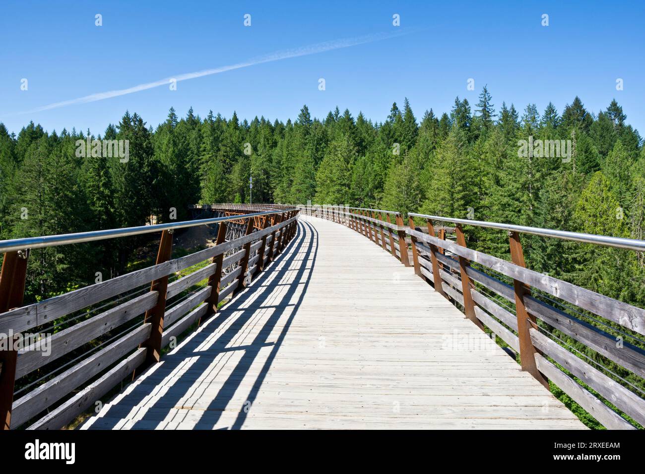 Passerelle du Kinsol Trestle sur l'île de Vancouver, Colombie-Britannique, Canada. Fantastique sentier pittoresque de marche et de vélo sur un pont ferroviaire converti. Banque D'Images
