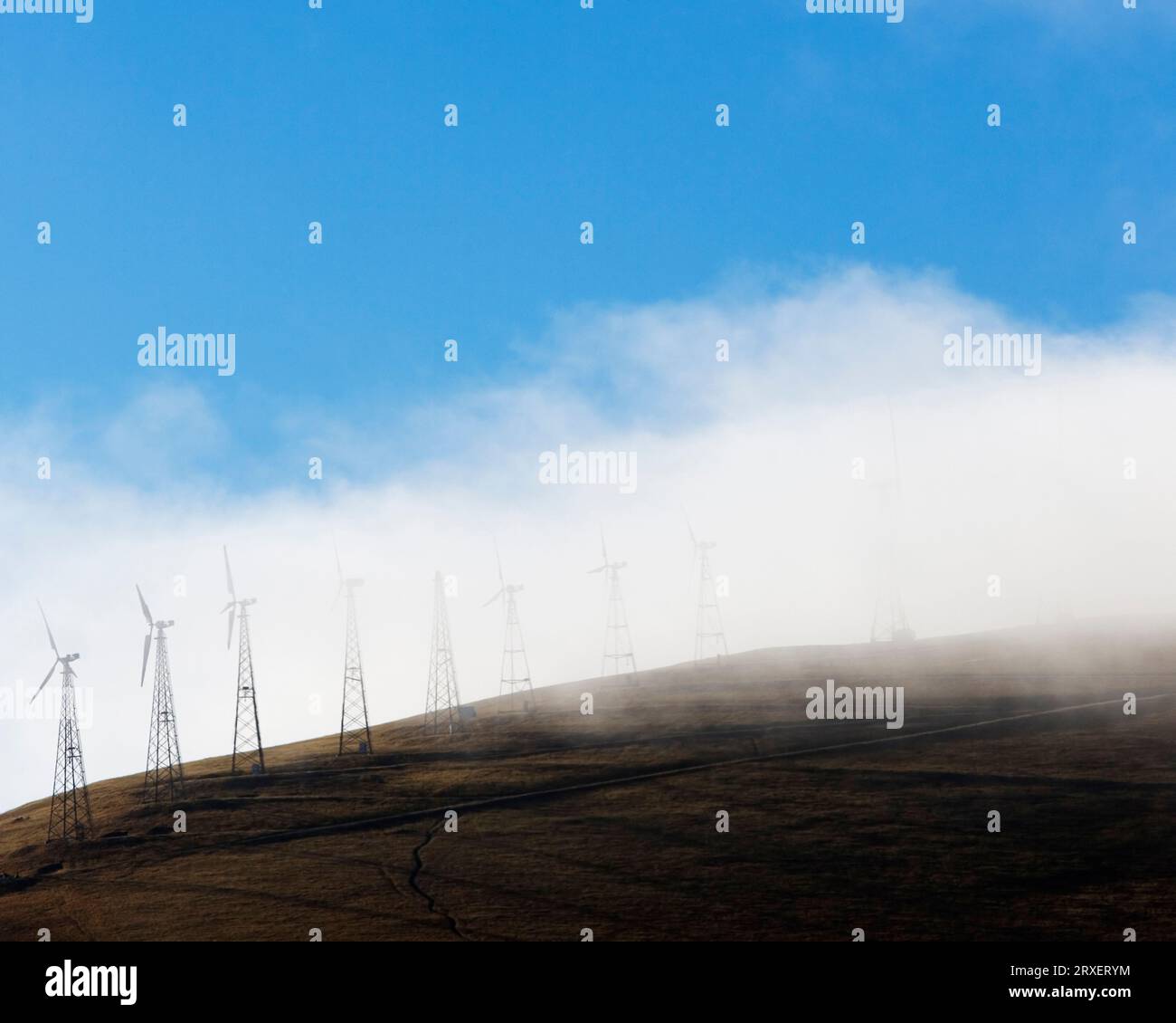 Éoliennes sur une colline avec le brouillard roulé dedans. Banque D'Images