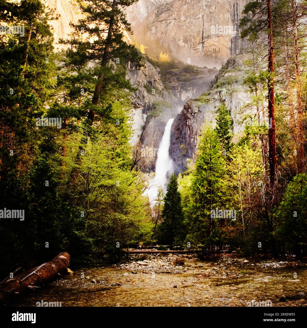 Lower Yosemite Falls, parc national de Yosemite, Californie. Banque D'Images