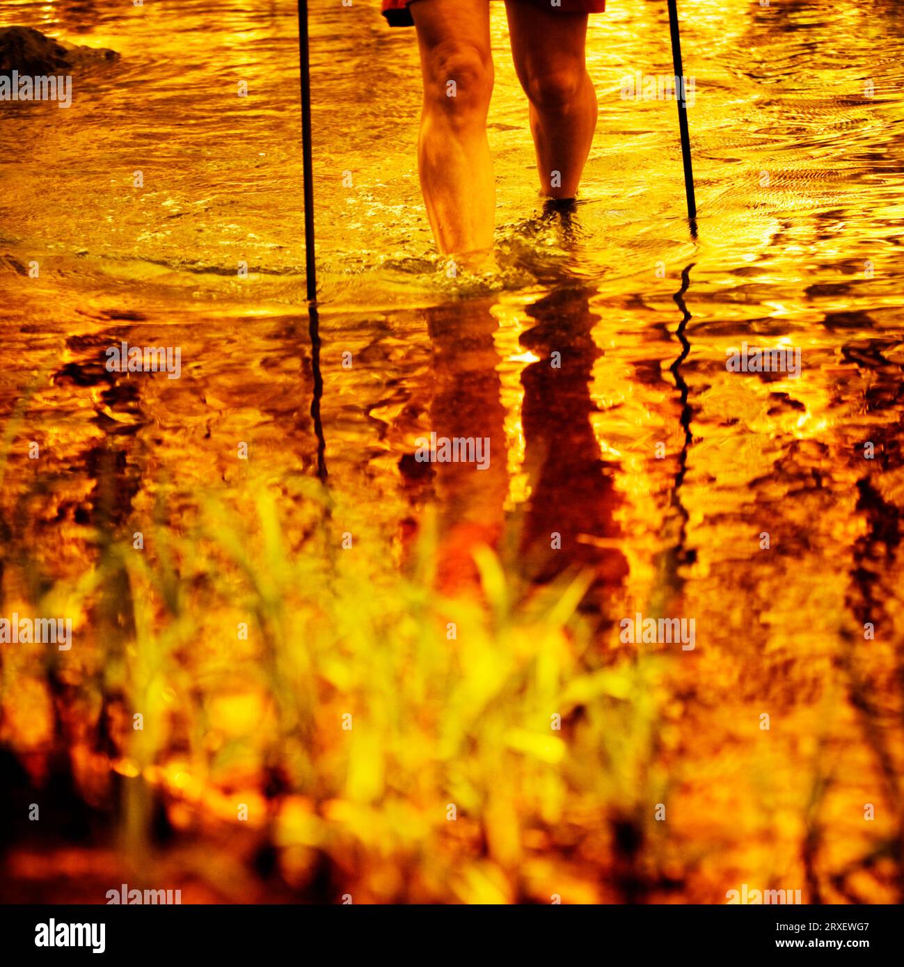 Une femme randonneurs jambes et bâtons de trekking tout en traversant un ruisseau. Banque D'Images