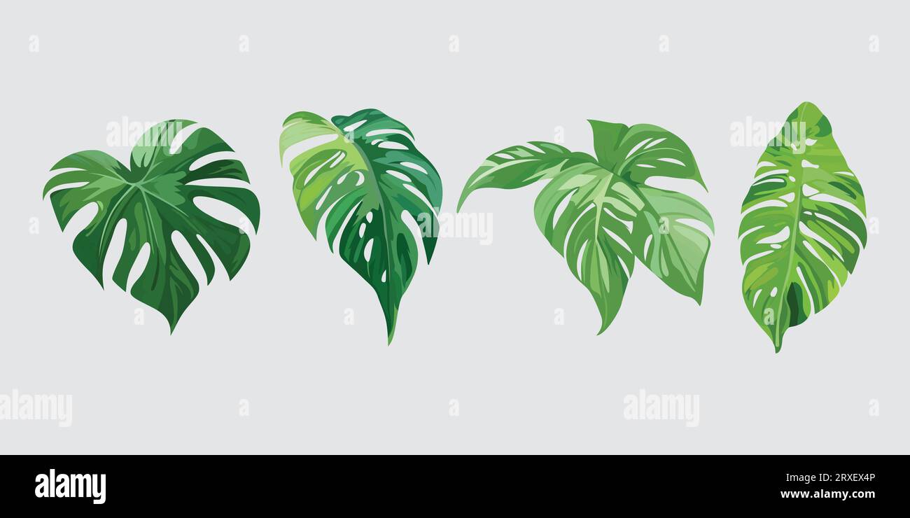 Plantes de maison en pots, ensemble d'icônes d'arbre, vecteur de plantes de jardin Illustration de Vecteur