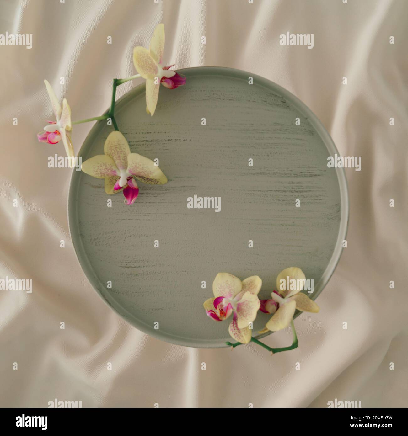 Aménagement luxueux sur une élégante soie tendance avec sapce interactive et orchidées exotiques. Idée de concept minimale. Pose à plat, vue de dessus. Banque D'Images