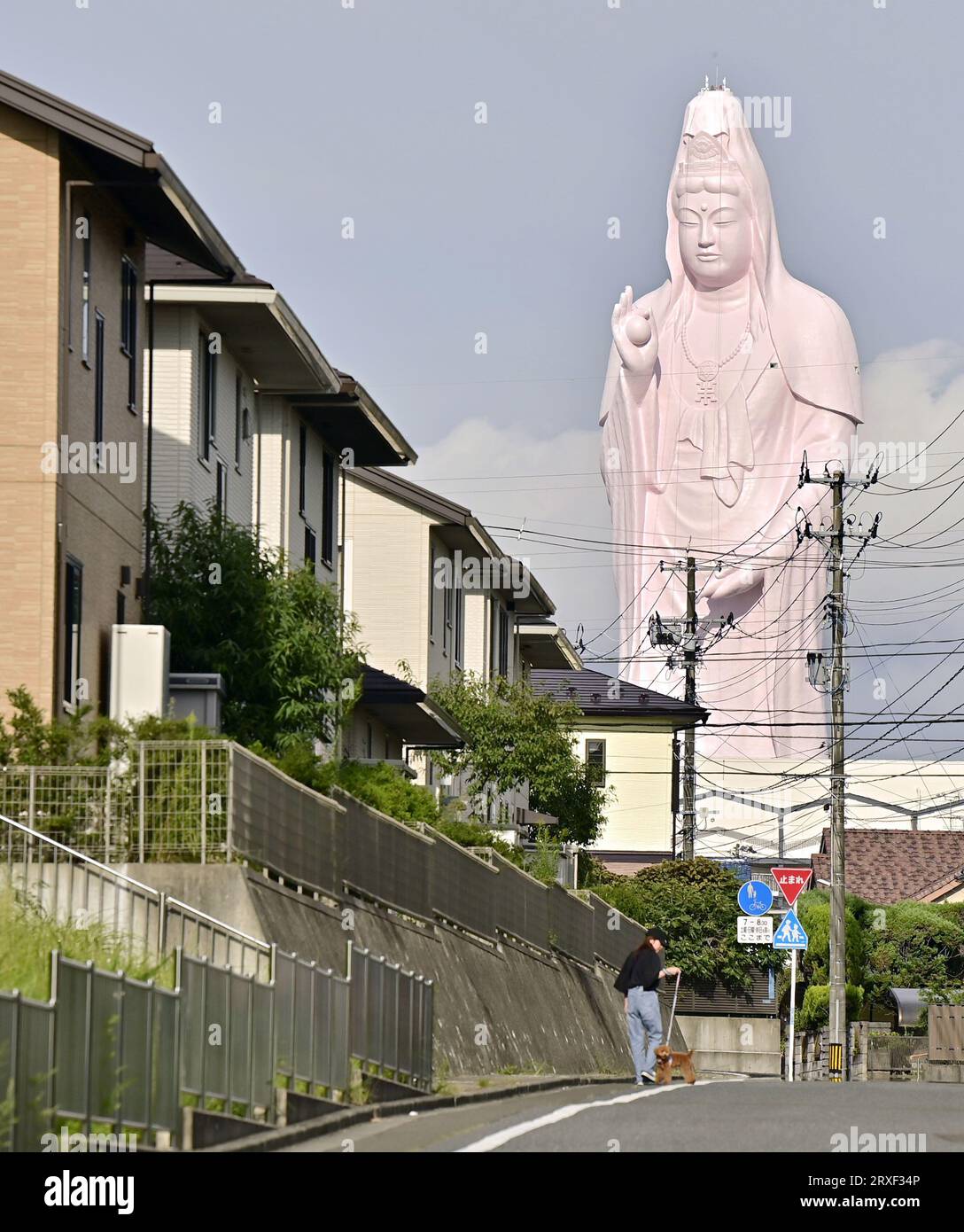 Miyagi, Japon. 25 septembre 2023. La photo prise le 25 septembre 2023 montre une statue bouddhiste de 100 mètres temporairement colorée rose pâle au milieu de travaux de rénovation à Sendai, dans la préfecture de Miyagi, au nord-est du Japon. (Kyodo)==Kyodo photo via crédit : Newscom/Alamy Live News crédit : Newscom/Alamy Live News Banque D'Images