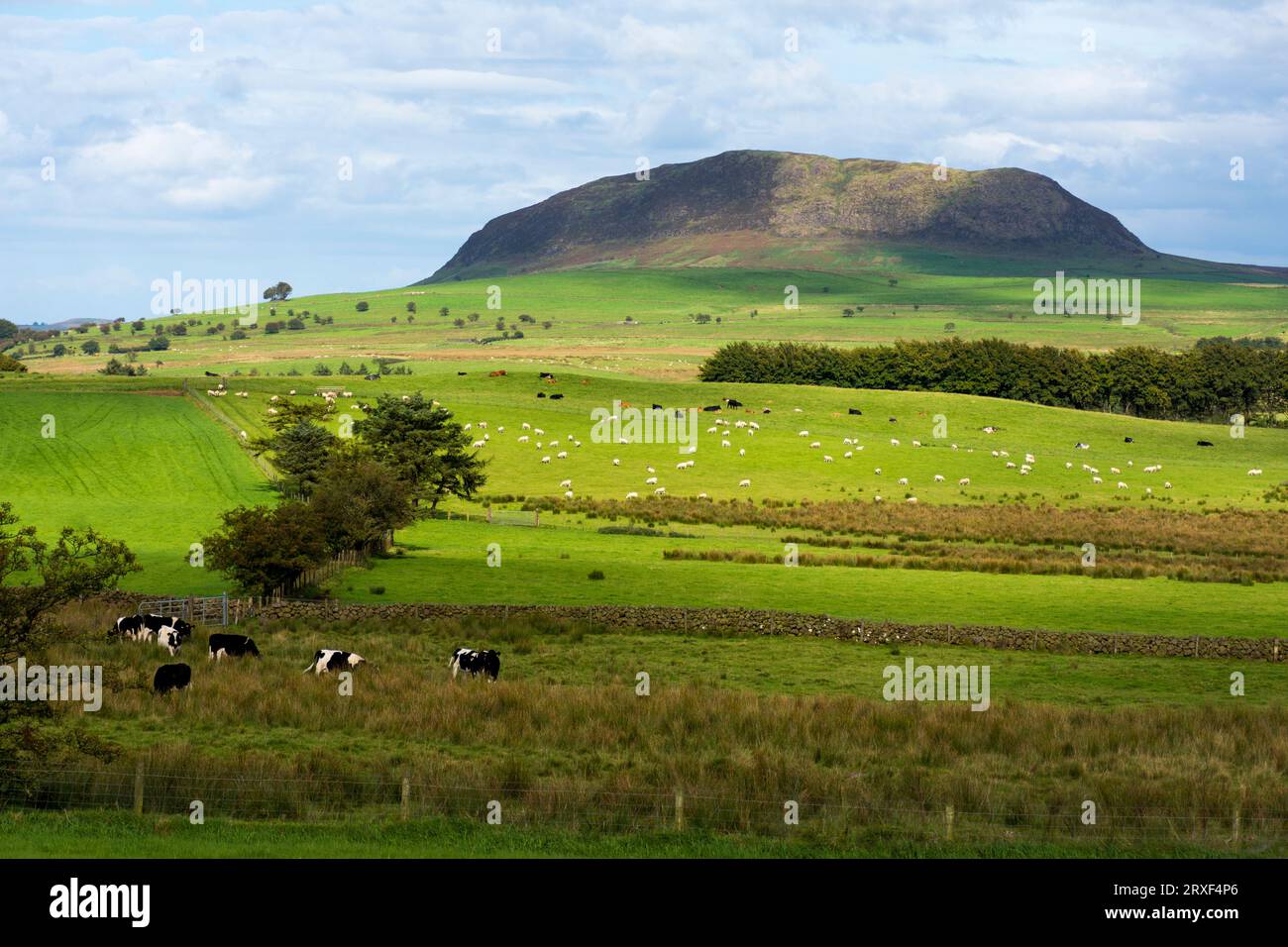 Slemish, historiquement appelé Slieve Mish, est une colline du comté d'Antrim, en Irlande du Nord. Il se trouve à quelques kilomètres à l'est de Ballymena. Banque D'Images