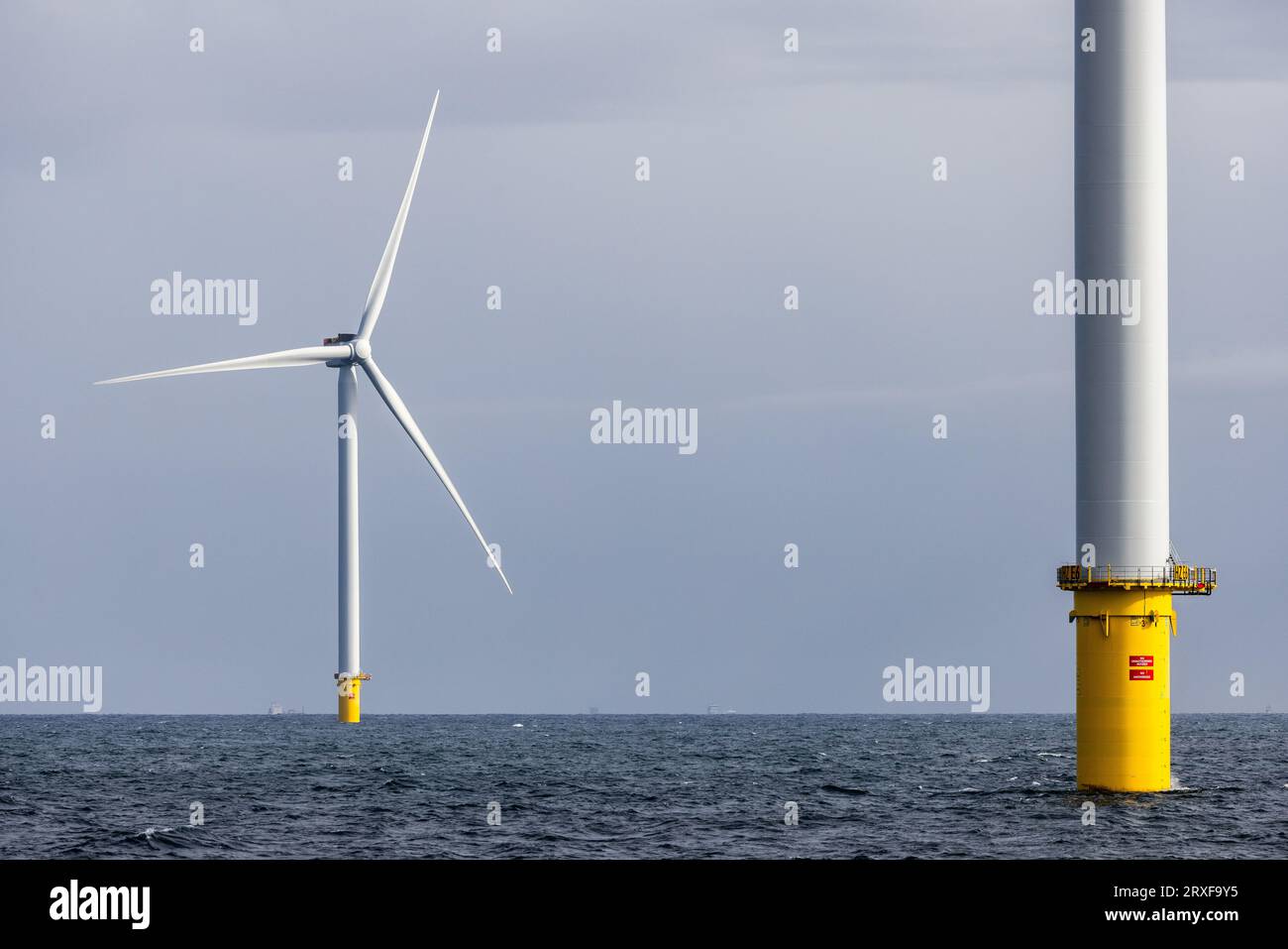 IJMUIDEN - les turbines en mer forment le parc éolien Hollandse Kust Zuid de Vattenfall. Le parc éolien se compose de 139 éoliennes et est situé à environ dix-huit kilomètres de la côte. Il alimente plus de 1,5 millions de foyers. ANP JEFFREY GROENEWEG pays-bas sorti - belgique sorti Banque D'Images