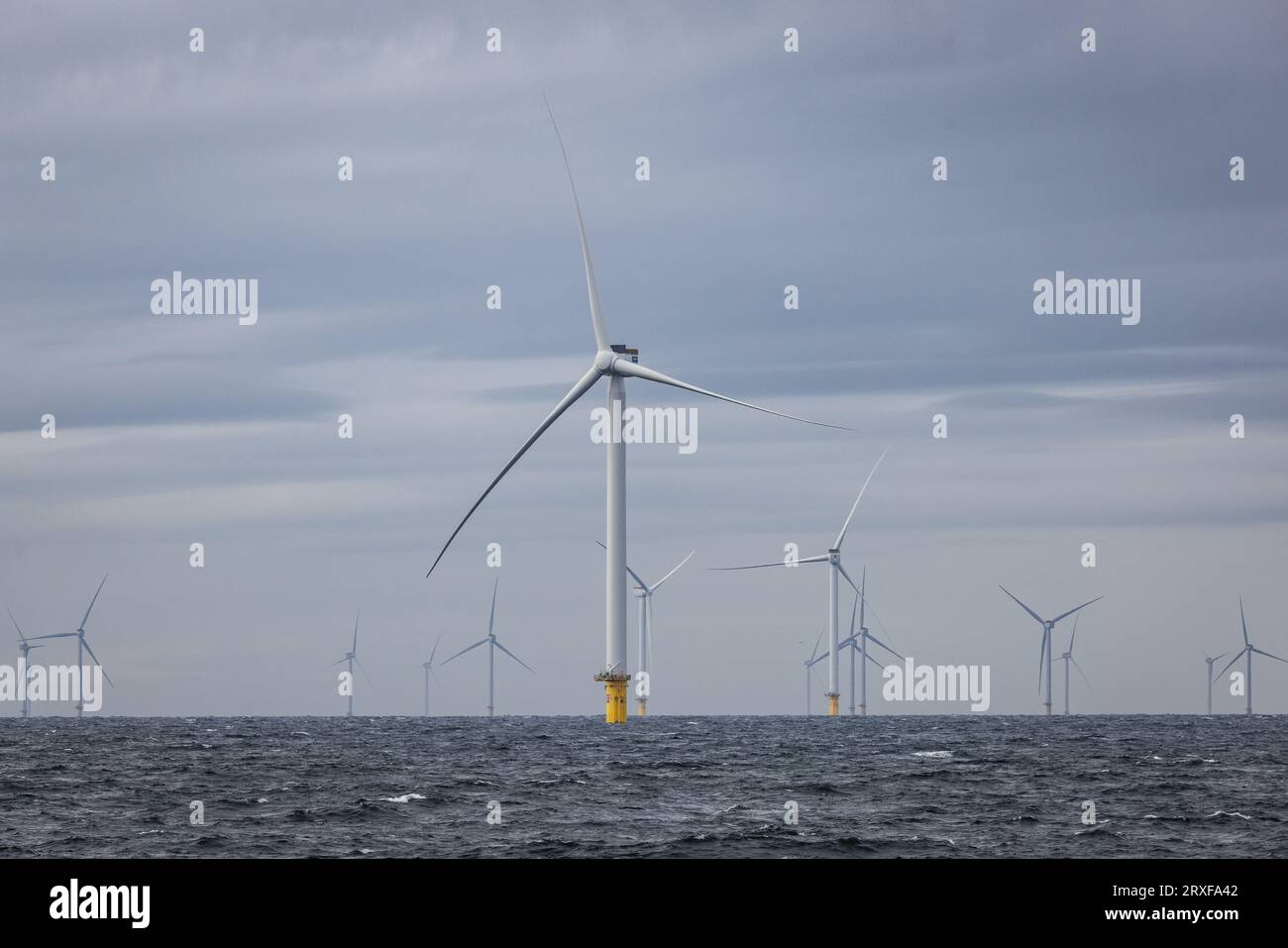 IJMUIDEN - les turbines en mer forment le parc éolien Hollandse Kust Zuid de Vattenfall. Le parc éolien se compose de 139 éoliennes et est situé à environ dix-huit kilomètres de la côte. Il alimente plus de 1,5 millions de foyers. ANP JEFFREY GROENEWEG pays-bas sorti - belgique sorti Banque D'Images