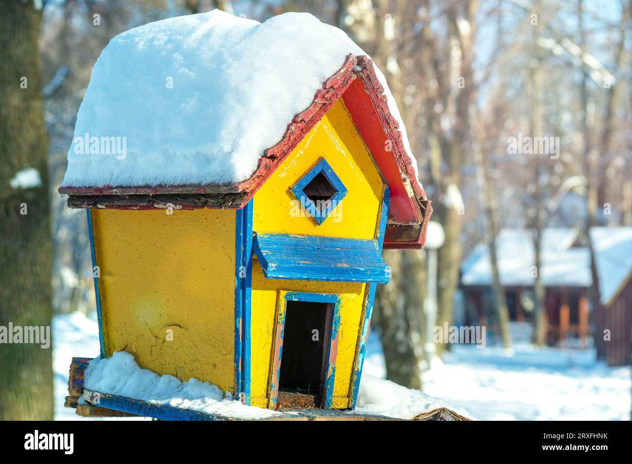 Nichoir de couleur sur un arbre. Le concept l'aide aux animaux. est beaucoup de nid et de logement pour les oiseaux en hiver. Loges pour un hivernage des oiseaux. Banque D'Images