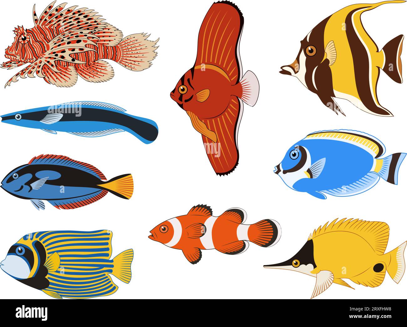 Collection de poissons de mer tropicaux. Cliparts vectorielles colorées isolées sur blanc. Illustration de Vecteur