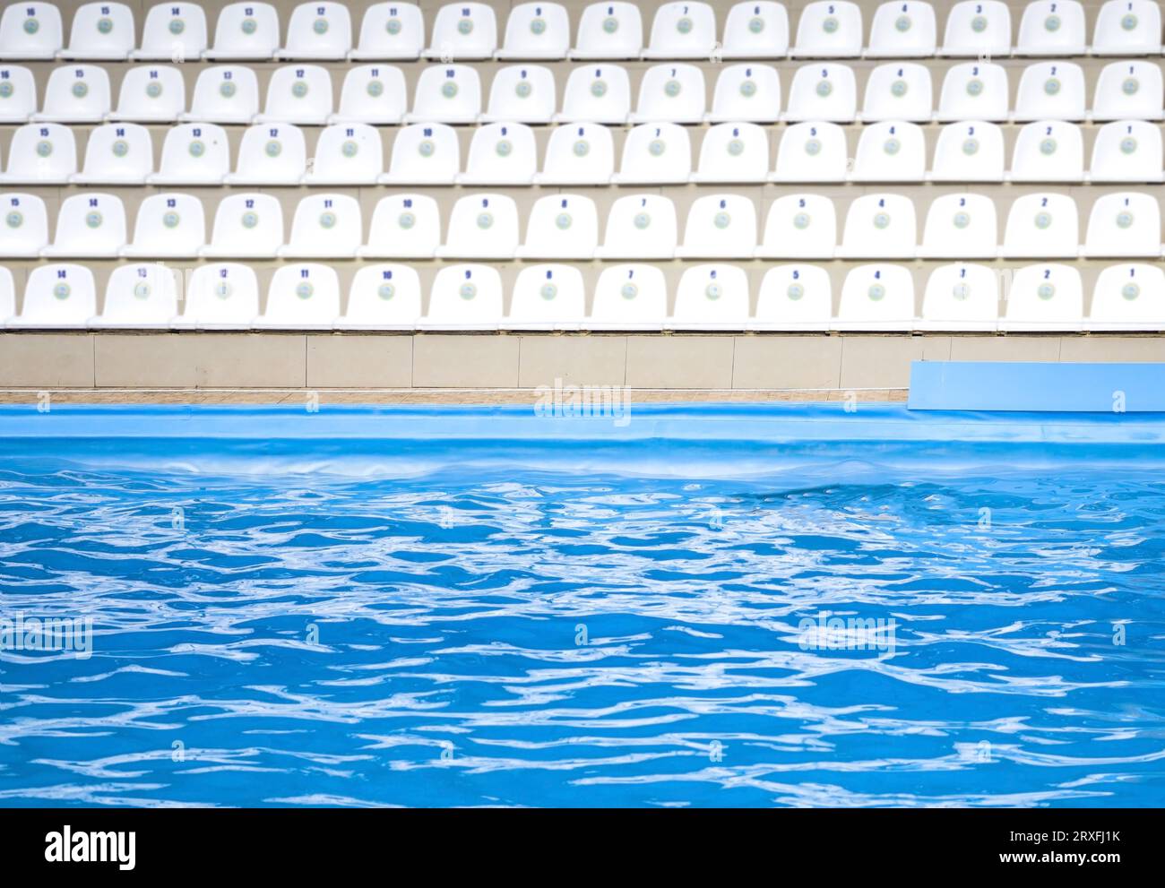 Supports. sièges blancs dans la piscine sportive. Tribune des fans au terrain de sport. vue avant Banque D'Images