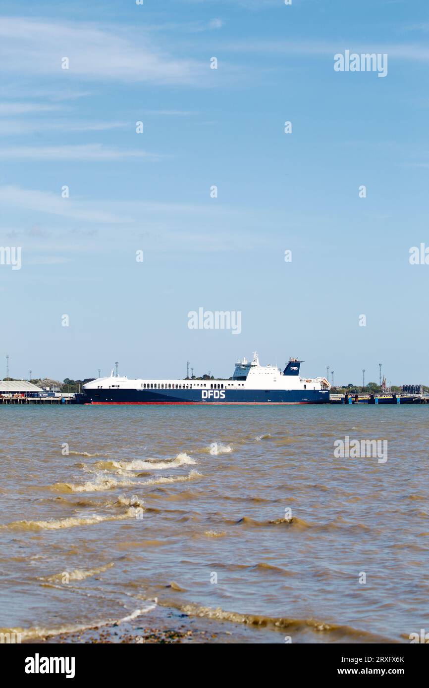 Le cargo DFDS RO-RO (Roll On - Roll Off) Acacia Seaways a accosté au terminal RO-RO 4, Port de Felixstowe, Suffolk, Royaume-Uni Banque D'Images