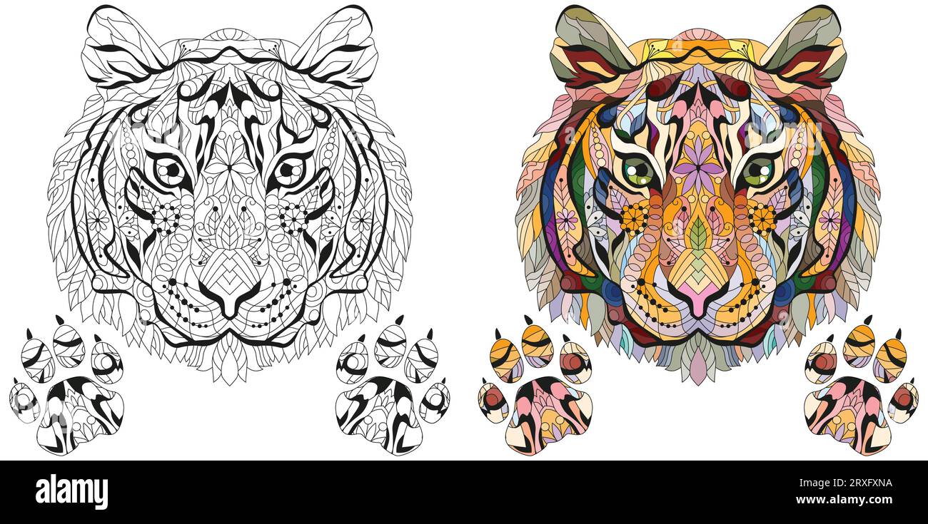 Tête de tigre avec pattes zentangle stylisé pour la conception de t-shirt, tatouage et autres décorations. Images en noir et blanc et en couleur Illustration de Vecteur