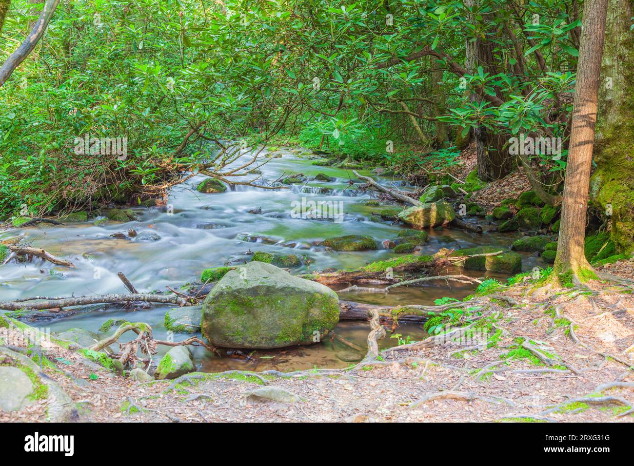 Mingus Creek sur le site historique de Mingus Mill dans le parc national des Great Smoky Mountains en Caroline du Nord. Banque D'Images