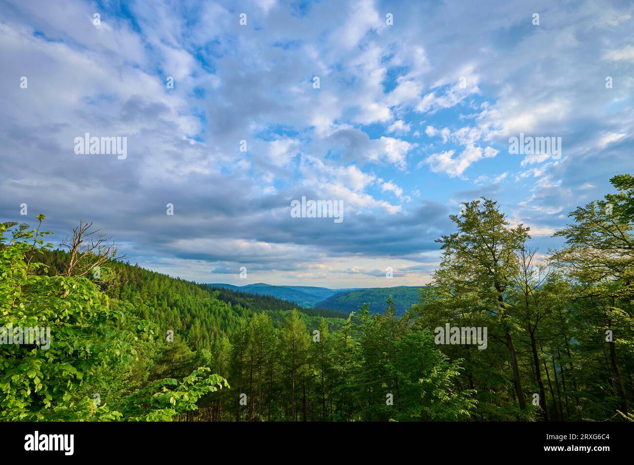 Paysage de basse montagne, forêt de feuillus, forêt mixte, hêtre, nuages, Spring, Hesselbach, Oberzent, Odenwald, Hesse, Allemagne Banque D'Images