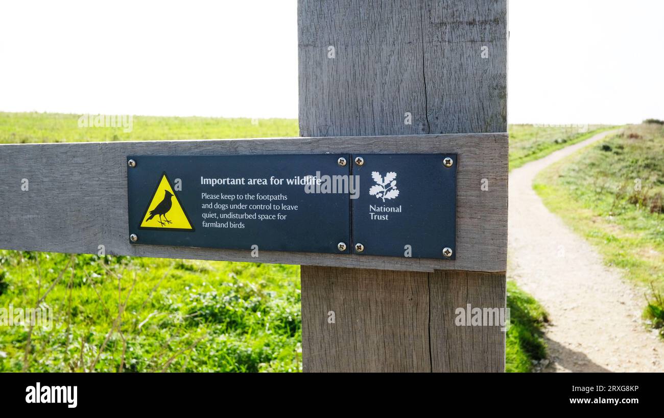 Panneau demandant que les chiens soient gardés sur des laisses pour protéger les oiseaux et la faune, Cornwall, Royaume-Uni - John Gollop Banque D'Images