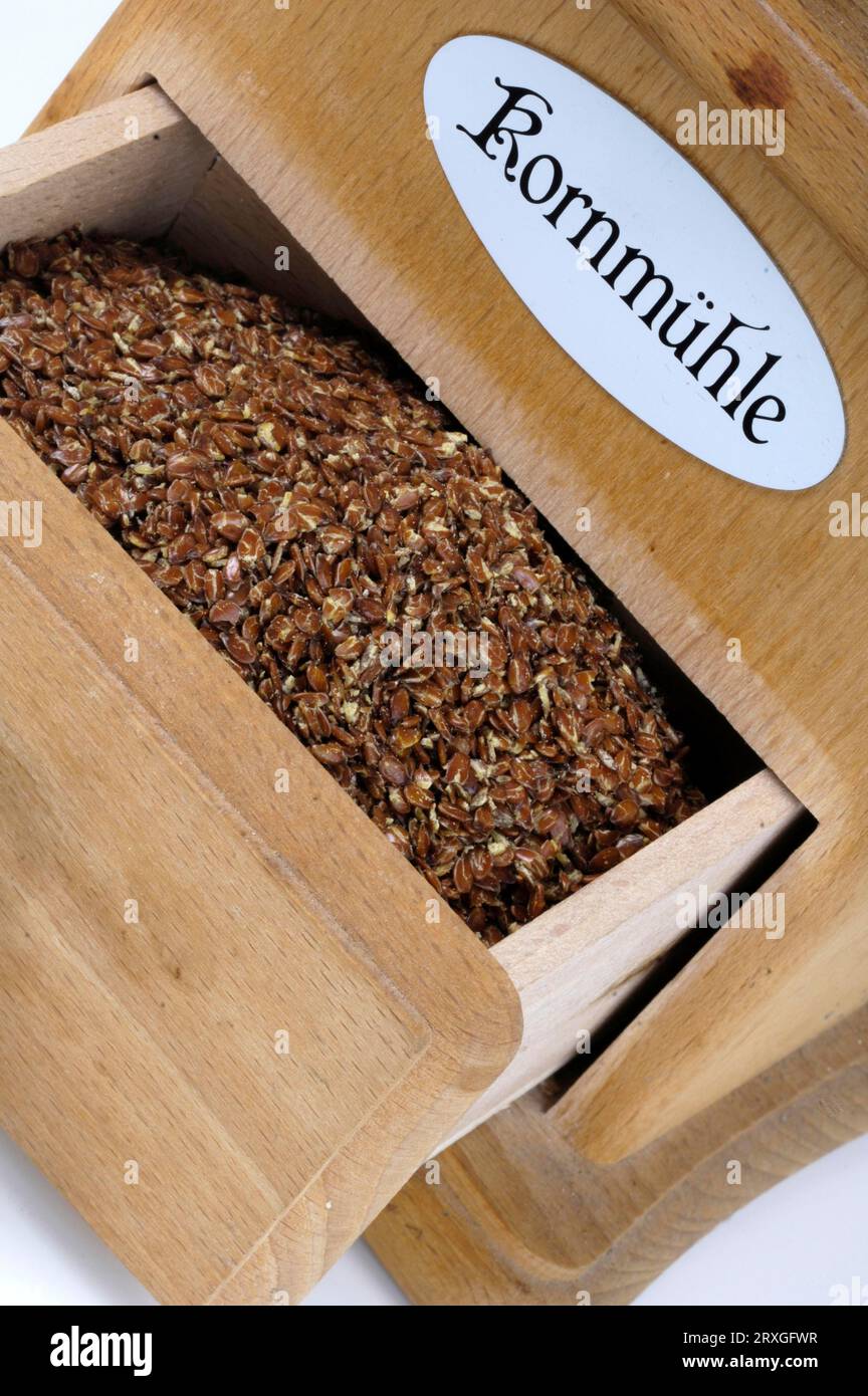 Lin commun, graines de lin dans le moulin à main (Linum usitatissimum), graines de lin dans le moulin à main, lin, graines de lin, moulin à main Banque D'Images