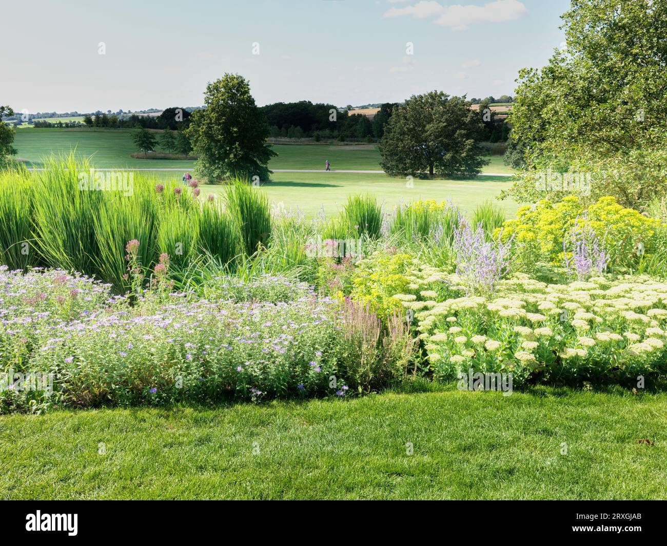 Parterre de fleurs dans le domaine de Hyde Hall, Essex, Angleterre. Banque D'Images