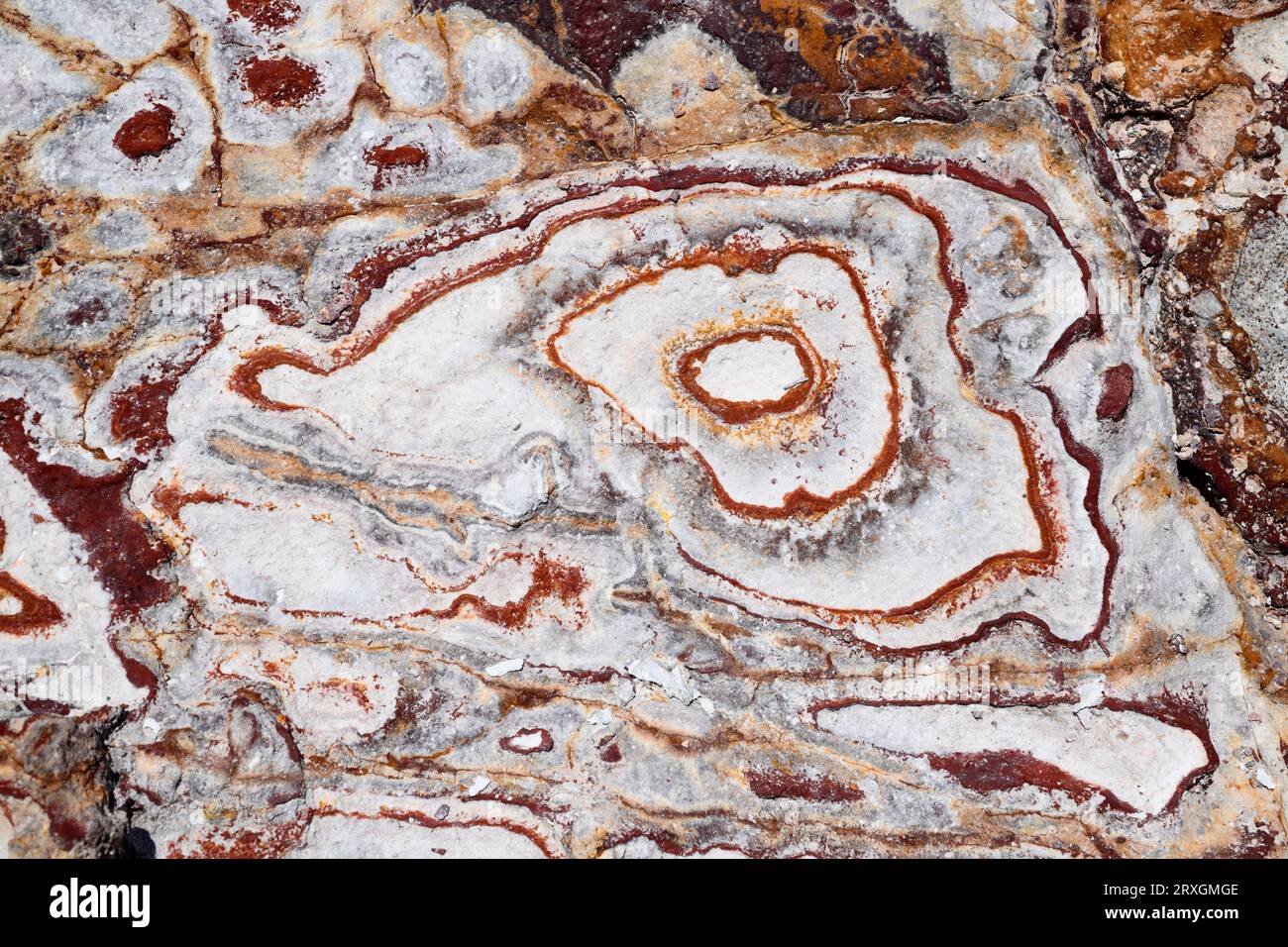 Formation rocheuse volcanique d'Ignimbrite avec anneaux de Liesegang. Les veines jaunes sont minérales jarosite et rougeâtres sont goethite. Cette photo a été prise à Rodal Banque D'Images