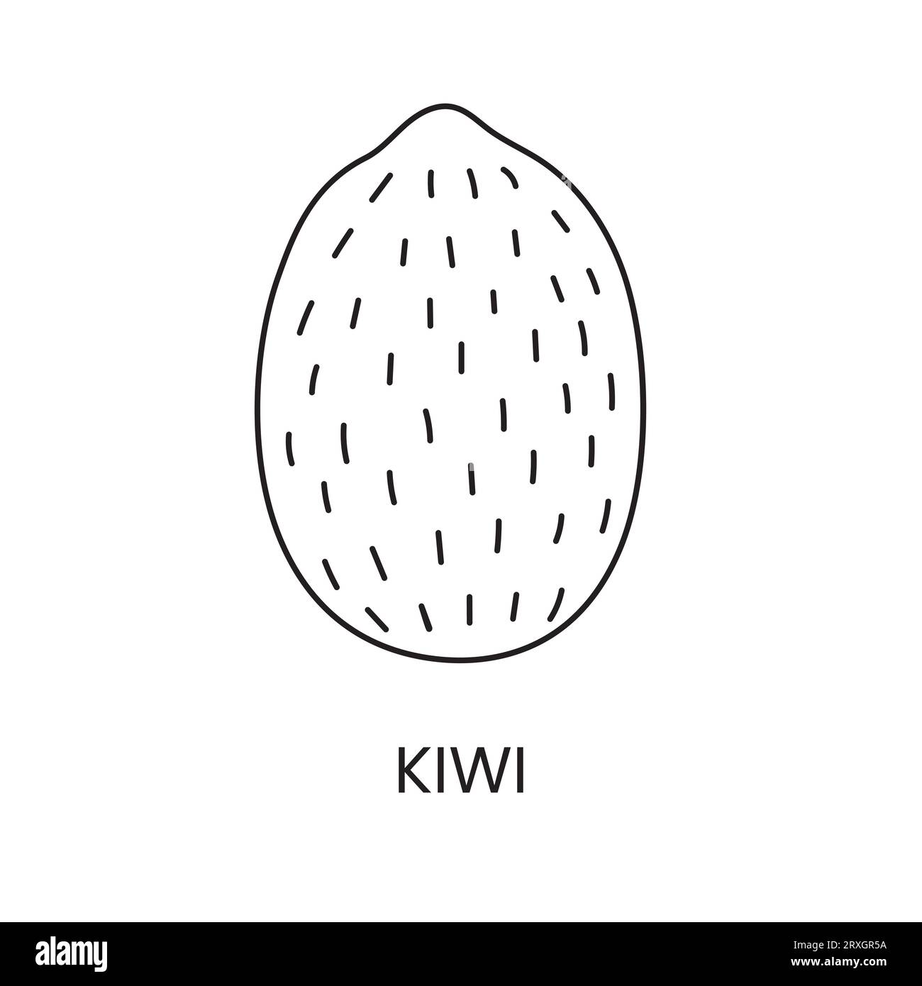 Icône de ligne kiwi dans le vecteur, illustration de fruits. Illustration de Vecteur