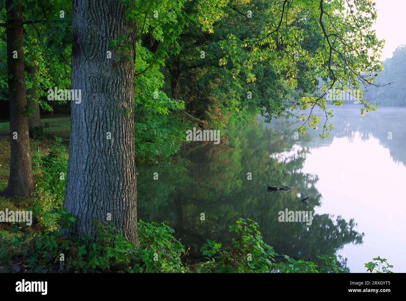 Pond, Roger Williams Park, Providence, Rhode Island Banque D'Images