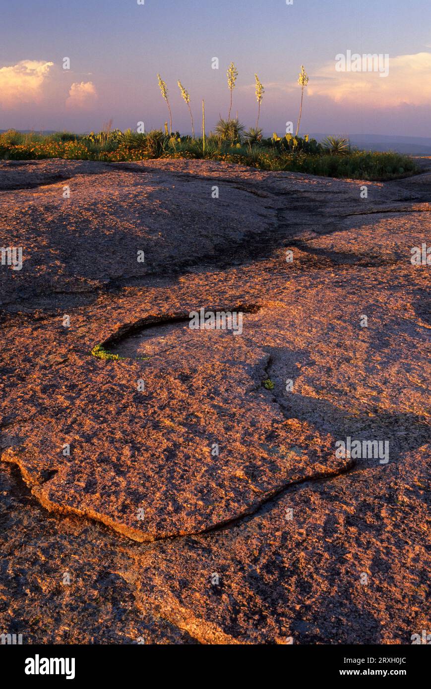 Enchanté Rock, parc national Enchanted Rock, Texas Banque D'Images