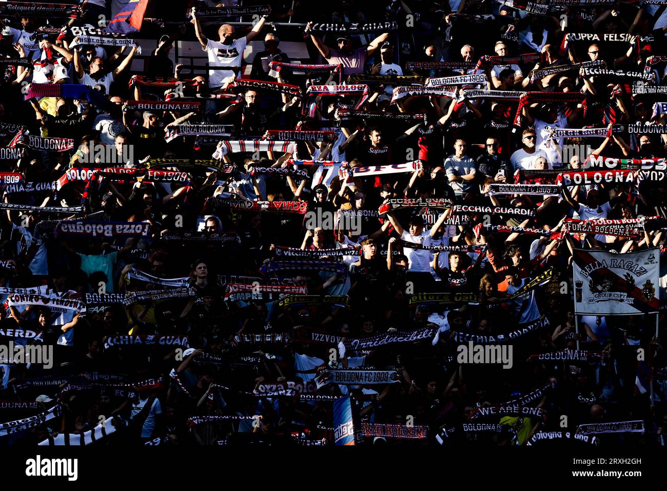 Supporters Bologne lors du match de football Serie A entre Bologne FC