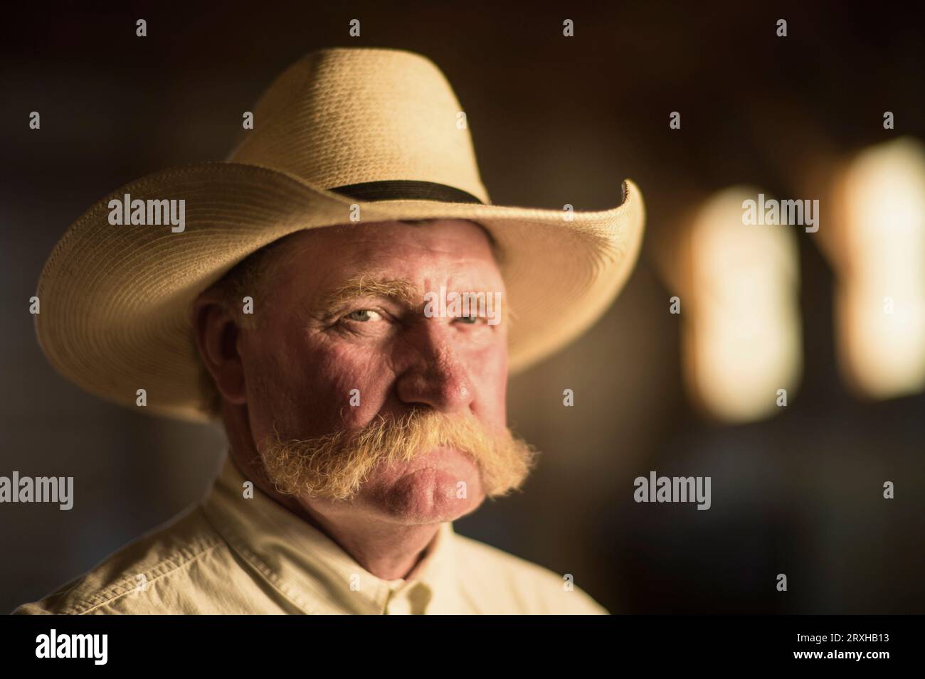 Portrait d'un éleveur portant un chapeau de cow-boy dans une grange ; Burwell, Nebraska, États-Unis d'Amérique Banque D'Images