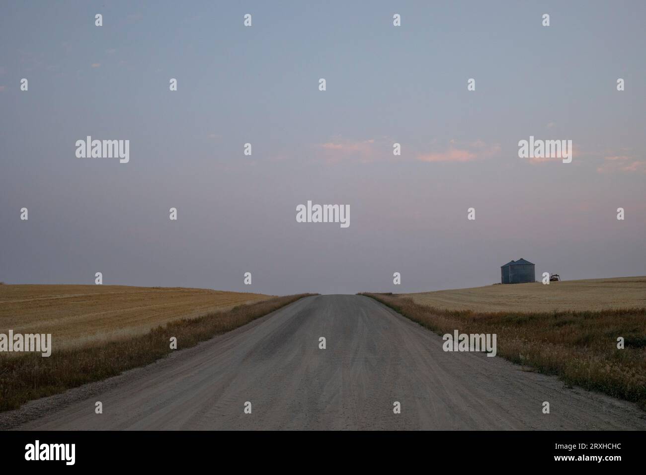 Vue sur une route de campagne au crépuscule sur les prairies de l'Alberta ; Alberta, Canada Banque D'Images