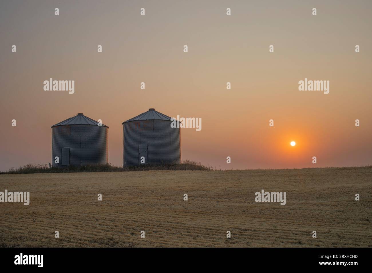 Deux bacs à céréales sur la vaste prairie de l'Alberta au coucher du soleil ; Alberta, Canada Banque D'Images