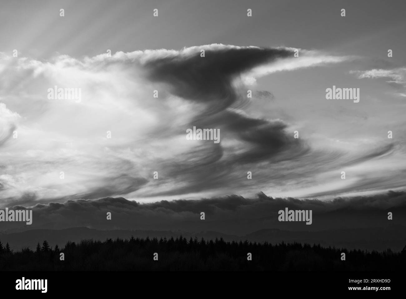 Monochrome des nuages de Virga pendant un coucher de soleil et une forêt silhouettée ; Olympia, Washington, États-Unis d'Amérique Banque D'Images