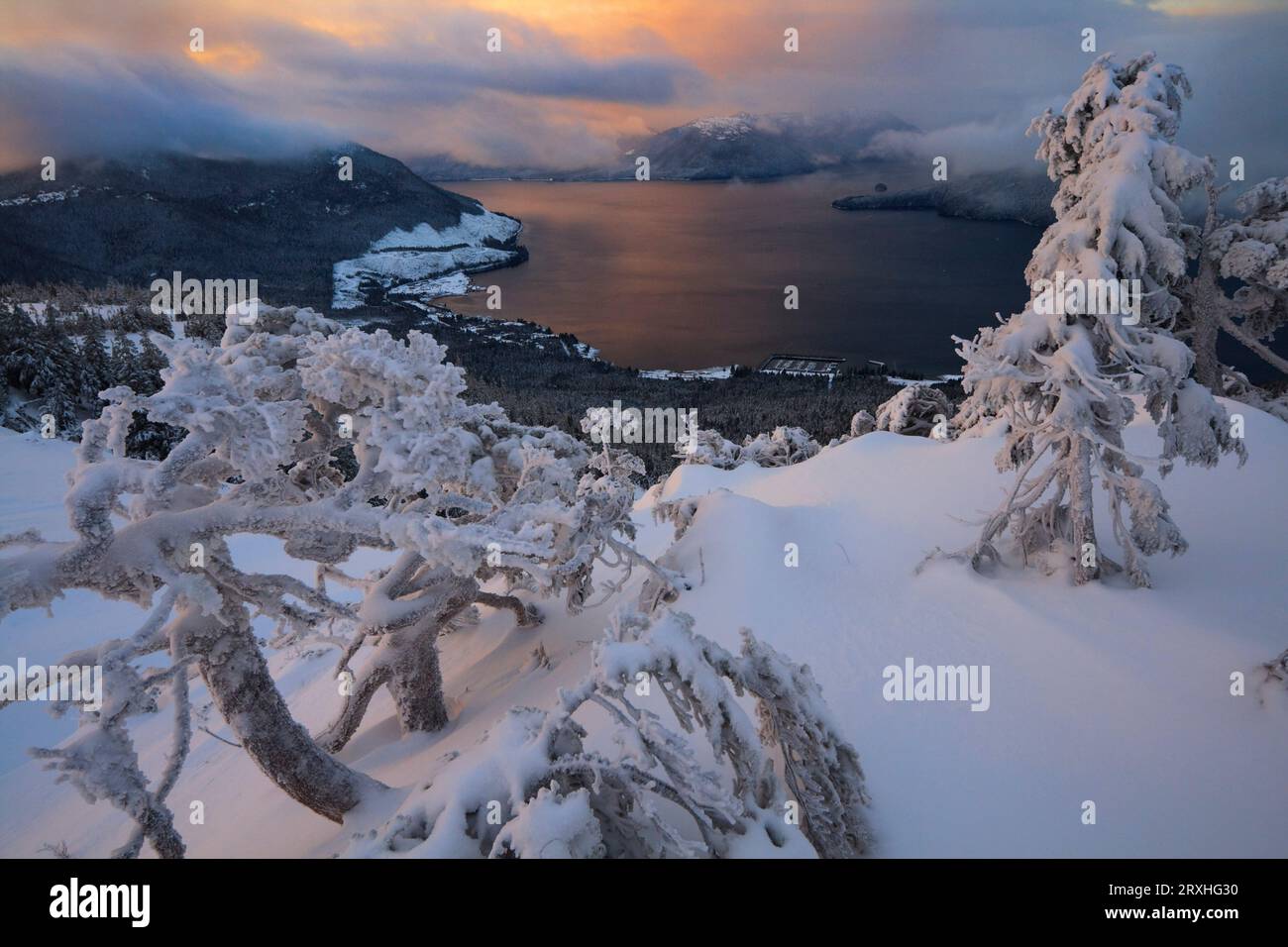 Arbres enneigés sur Une crête subalpine surplombant le détroit de Zimovia, l'île Wrangell, la forêt nationale de Tongass, le sud-est de l'Alaska Banque D'Images