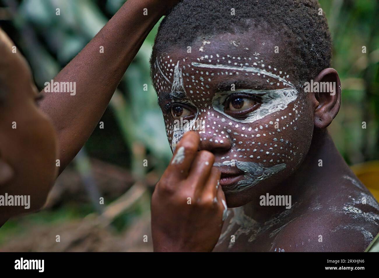 Les pygmées se tamponnent avec de l'argile pour embellir leur corps. ; République démocratique du Congo, Afrique. Banque D'Images