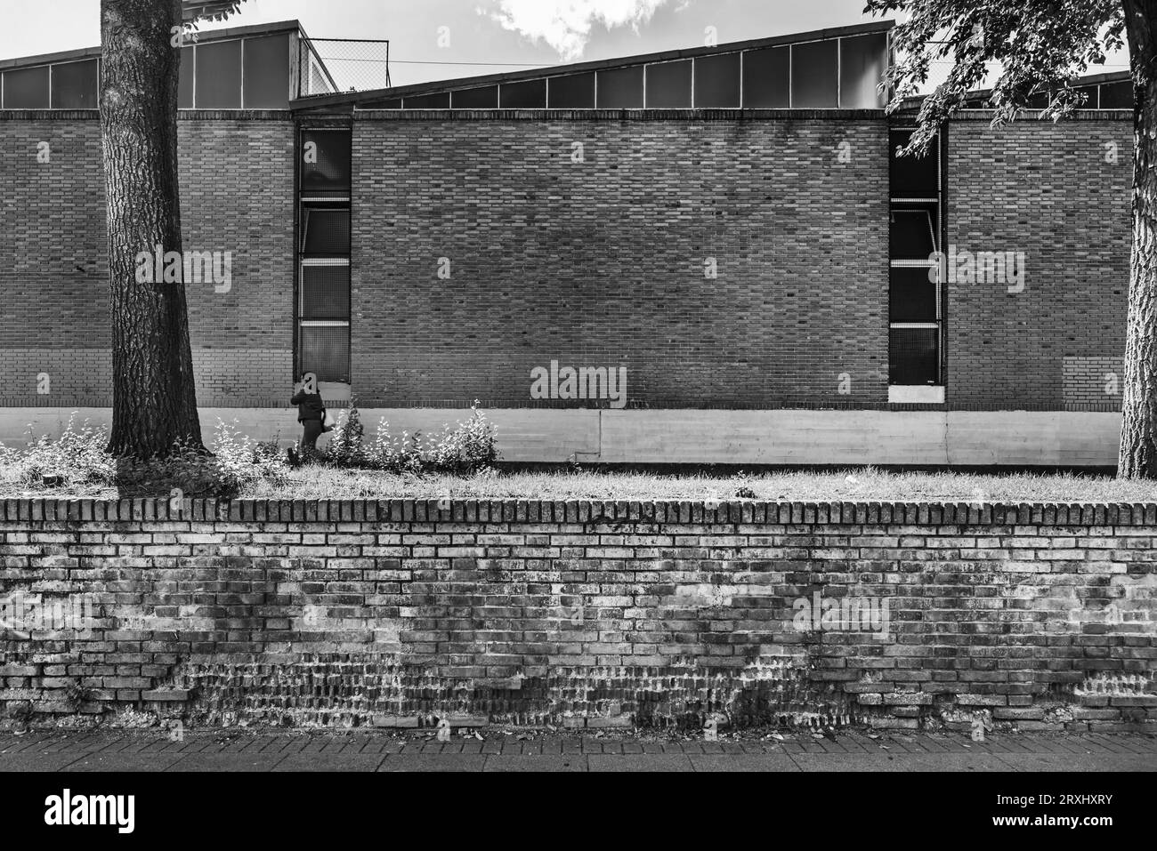 Rue piétonne avec mur de briques, arbres et mur d'usine dans une image monochrome Banque D'Images