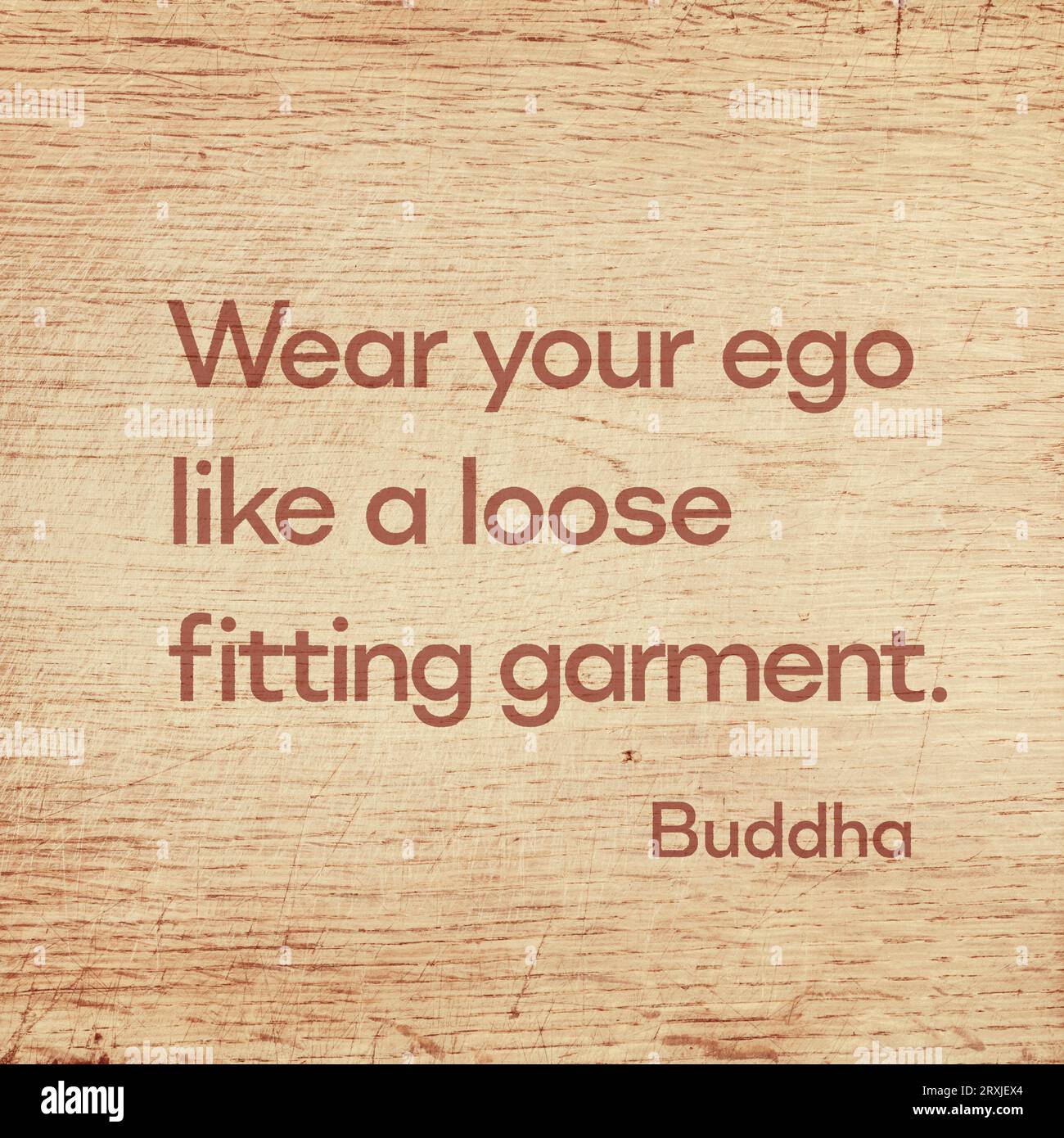 Portez votre ego comme un vêtement ample - célèbre citation de Gautama Buddha imprimée sur une planche en bois grunge Banque D'Images