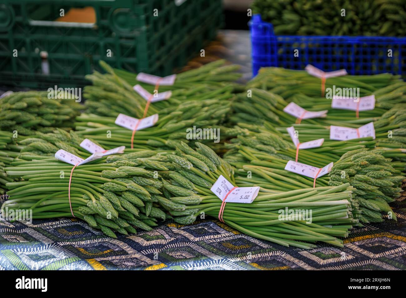 Asperges vertes sauvages fourragères locales fraîches à vendre sur un marché fermier sur la place Broglie dans le centre historique de Strasbourg, Alsace, France Banque D'Images